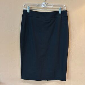 NWT ANN TAYLOR Skirt